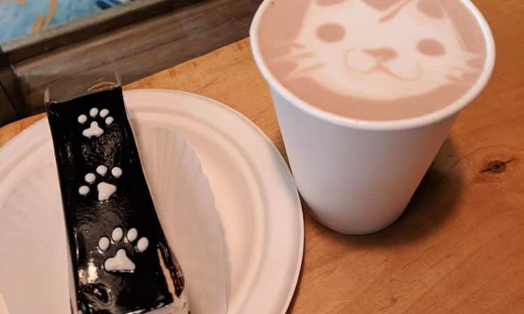 Play with Kitties at the Seattle Meowtropolitan Cat Cafe
