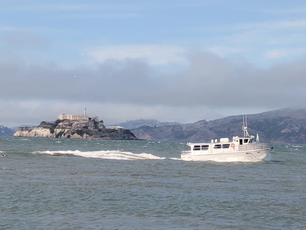 Alcatraz Island