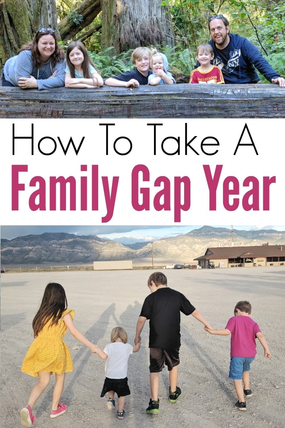 family gap year