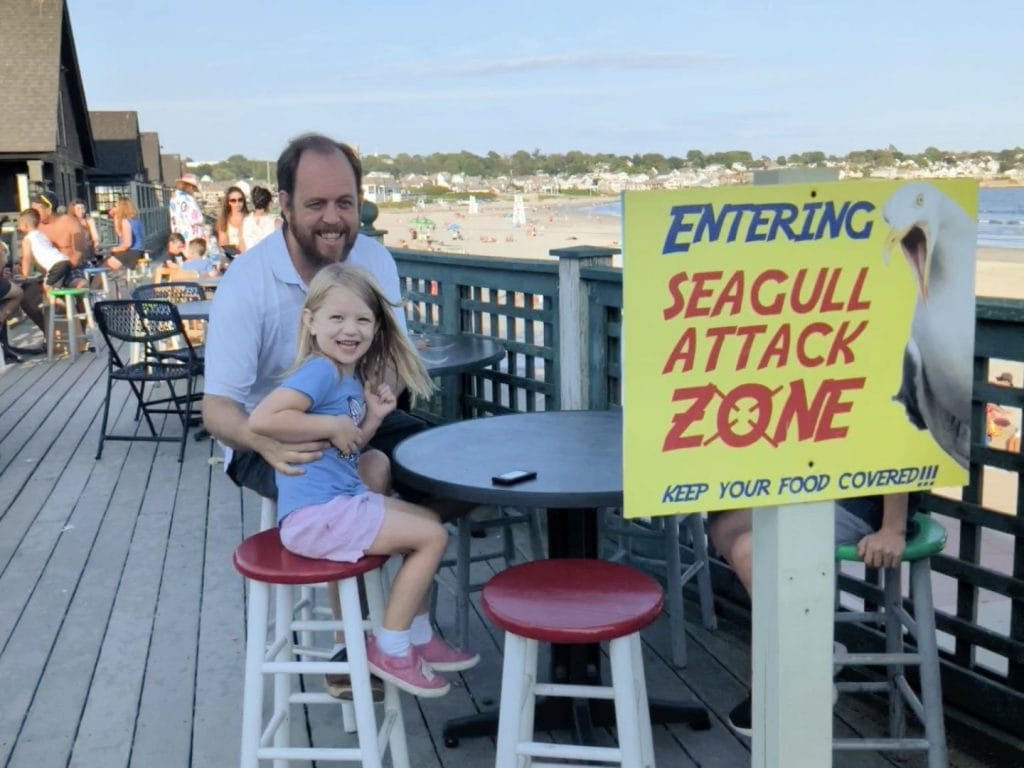 Watch out for seagull attacks in Newport RI