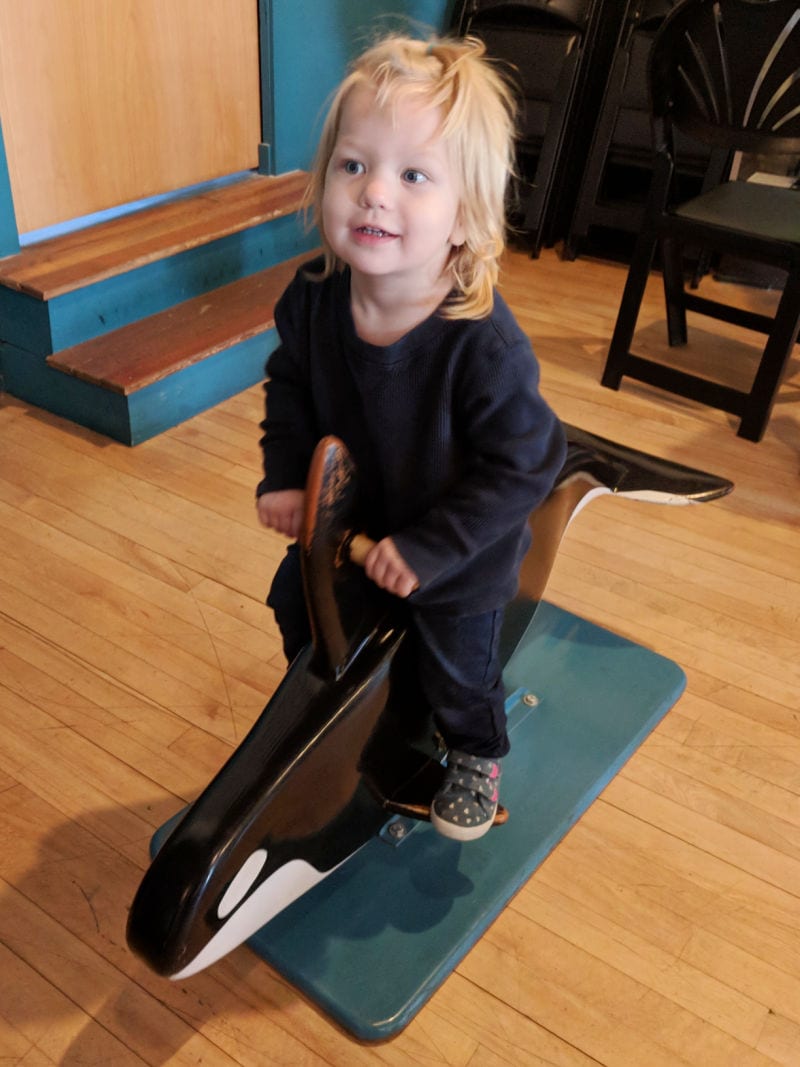 Melody riding a whale