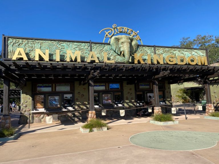 Your guide to all the rides at Disney’s Animal Kingdom {2023}