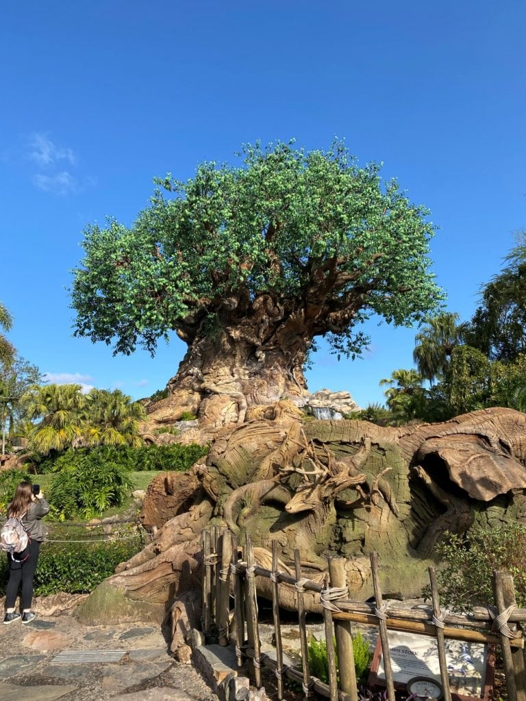 Your guide to all the rides at Disney's Animal Kingdom {2023} - Family Gap  Year Guide