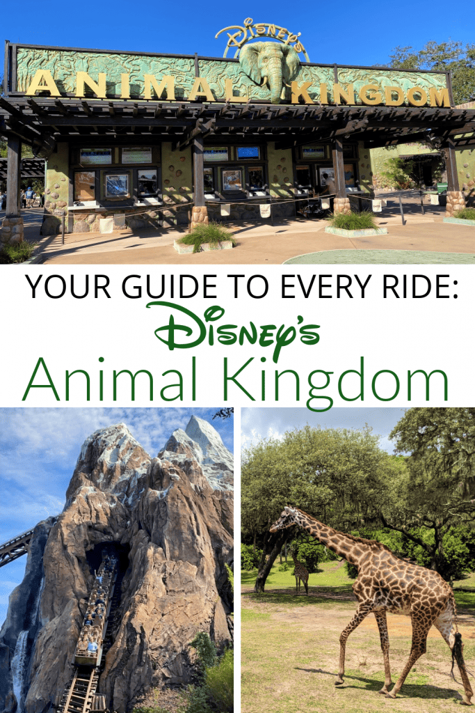 Your guide to every ride at Disney's Animal Kingdom